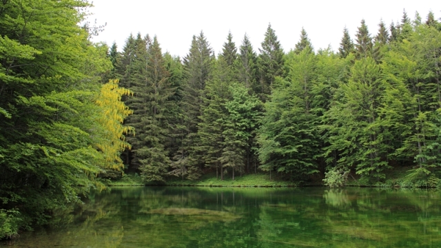 Riserva Naturale Orientata Agoraie di Sopra  Moggetto